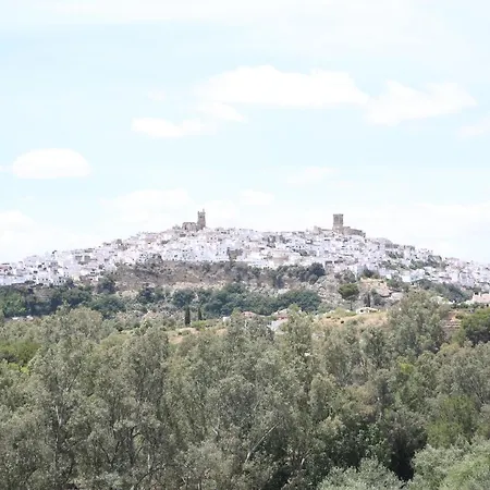 Duque De Boliches